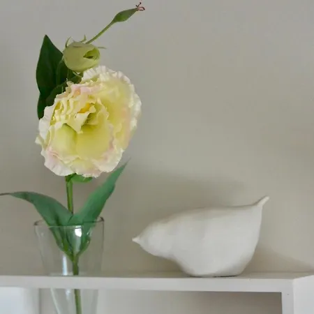 D'hotes Coteaux Sud Jurançon