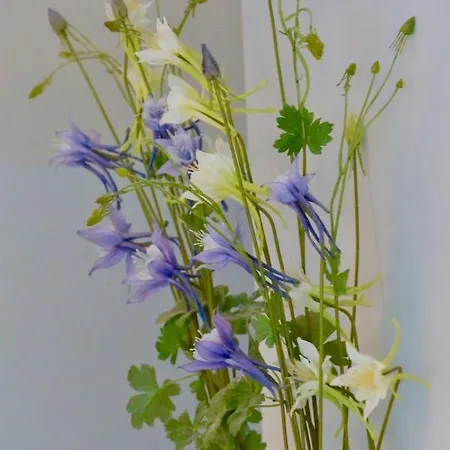 Panzió D'hotes Coteaux Sud Jurançon