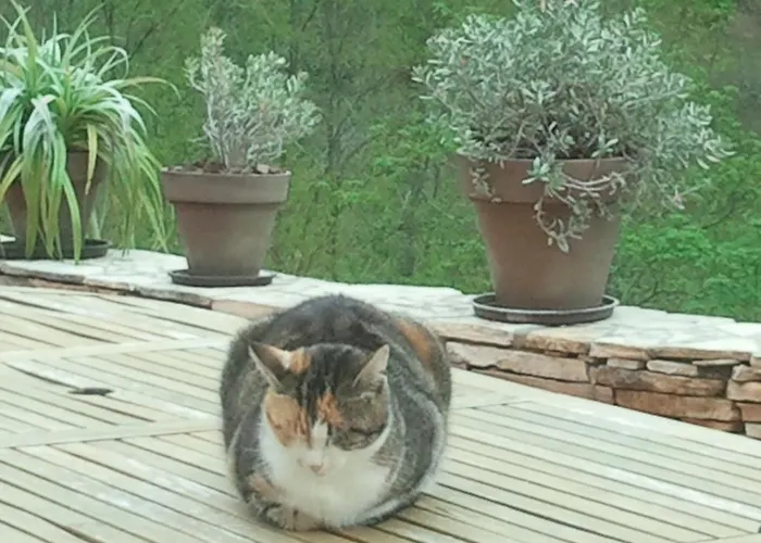 Bed & Breakfast D'hotes Coteaux Sud Jurançon