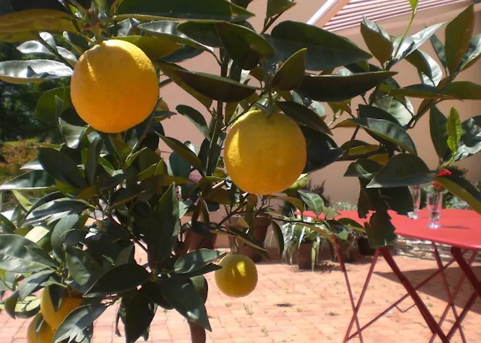 Bed & Breakfast D'hotes Coteaux Sud