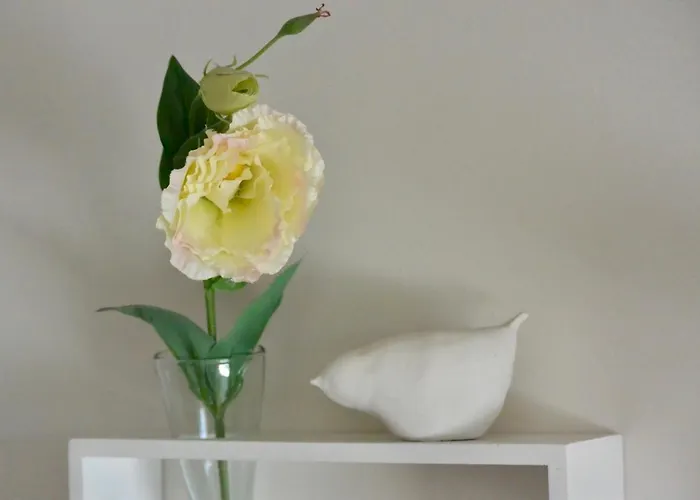 D'hotes Coteaux Sud Jurançon