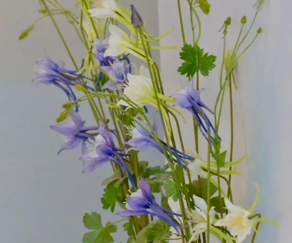 Bed & Breakfast D'hotes Coteaux Sud Jurançon